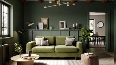 Green Couch Living Room Ideas