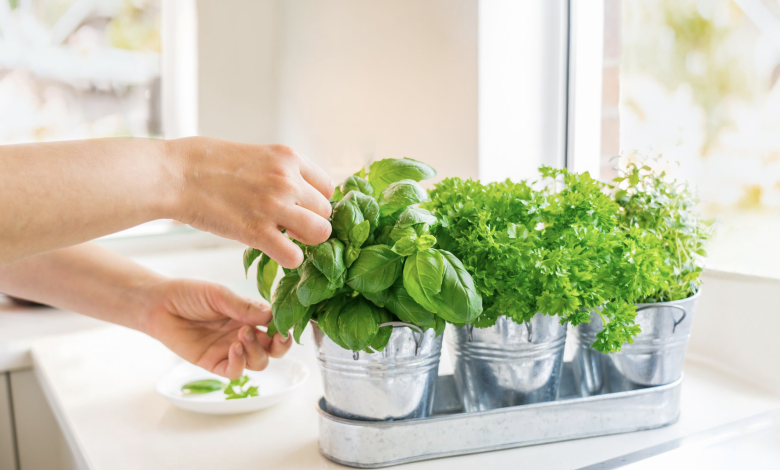 10 Best DIY Herb Garden Ideas to Implement!