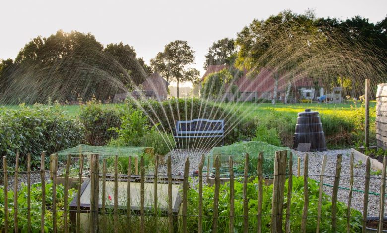 Are Smart Irrigation Systems Worth It? We Can Help You Decide