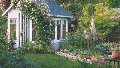 cottage garden ideas