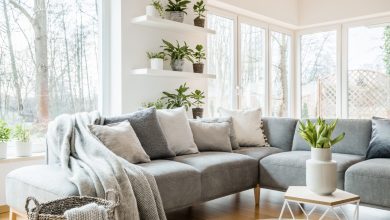 9 Grey Couch Living Room Ideas