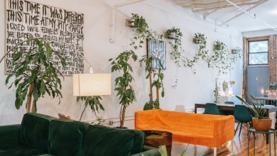 How to Create a Nature-Inspired Living Room on a Budget