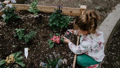 Tips & Tricks to Create a Kid-Friendly Garden