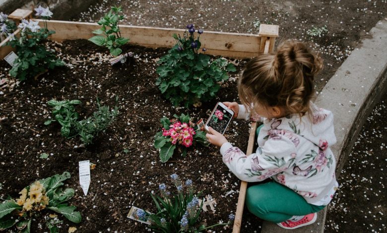 Tips & Tricks to Create a Kid-Friendly Garden