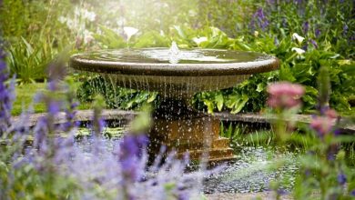 How to Choose the Right Water Fountain for Garden?