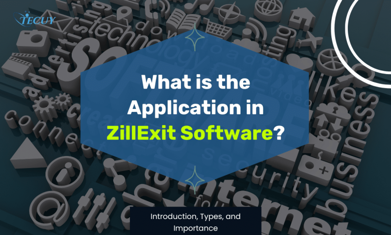 What is the Application in ZillExit Software? Introduction, Types, and Importance