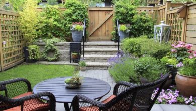 4 Tips and Tricks to Get the Most Out of Your Small Garden