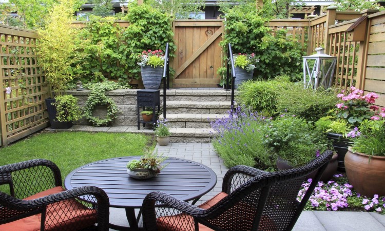 4 Tips and Tricks to Get the Most Out of Your Small Garden