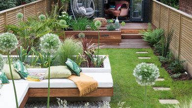 6 Tried and Tested Low Budget Small Garden Ideas