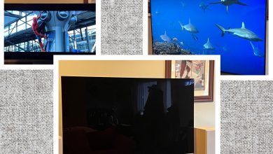 The 11 Best TVs We’ve Reviewed, Plus Buying Advice (2024)