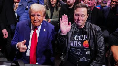 Donald Trump and Elon Musk at a UFC fight in New York