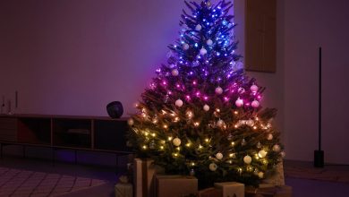 A tree decorated with Philips Hue’s Festavia smart string lights in a dark room.