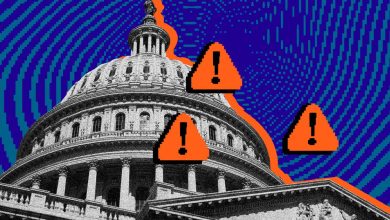 Photo collage showing error messages over Congress.