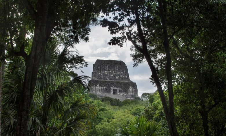 How a PhD Student Discovered a Lost Mayan City From Hundreds of Miles Away