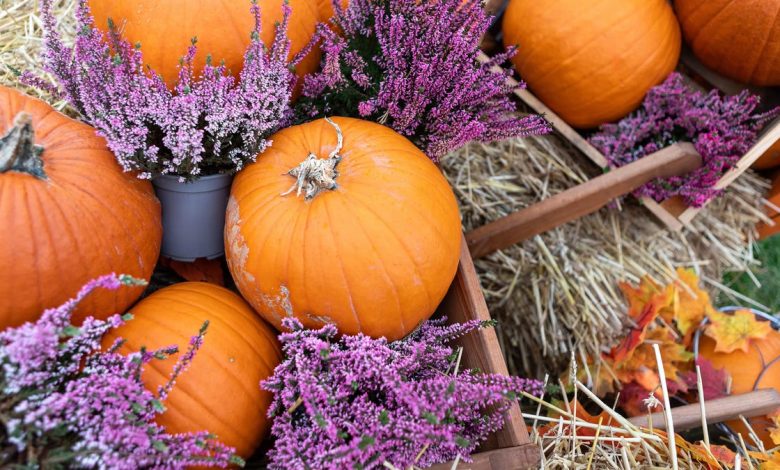 Pumpkins and purple flowers on a background of hay and fall leaves