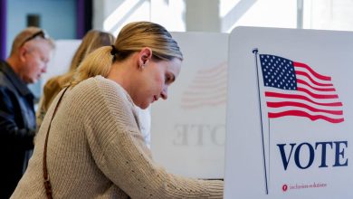 An image of a woman voting on Nov. 5, 2024.