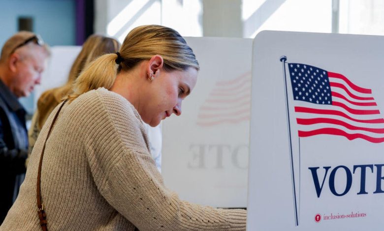 An image of a woman voting on Nov. 5, 2024.