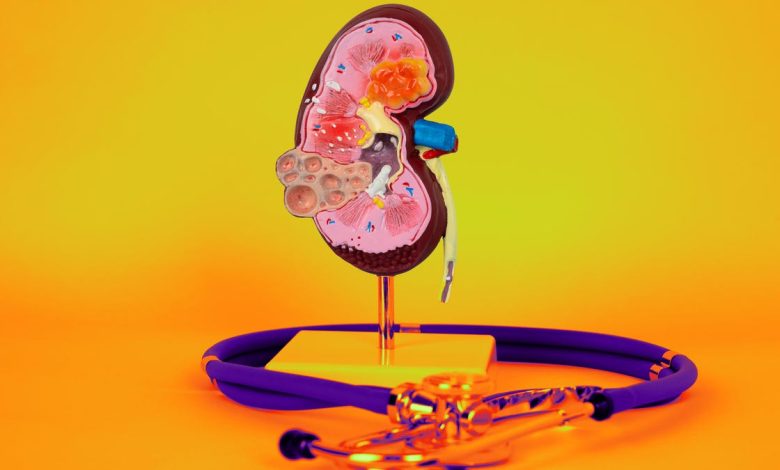 Kidney Health Made Easy: 13 Essential Foods to Protect Your Function