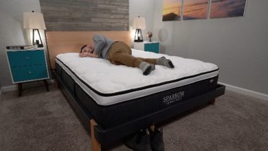 Nest Sparrow Hybrid Review 2024: Universal Comfort for Couples